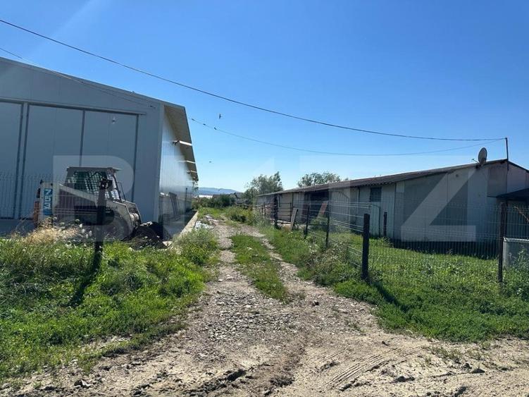 Hala cu teren , intravilan , 4700mp, Marginea - Radauti