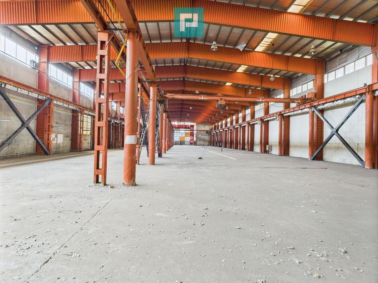 Hală industrială cu pod rulant și parcare betonată