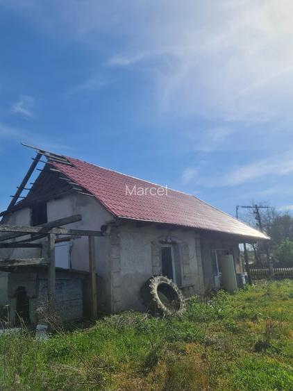 URGENT Casa de vânzare, Pentru a salva o viață  - 15