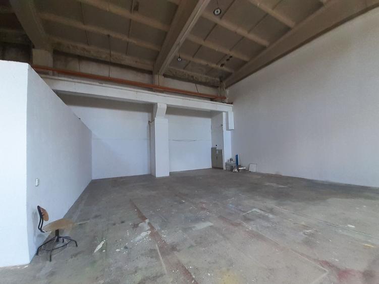 Zona bd. Th. Pallady - hala si birouri 550mp