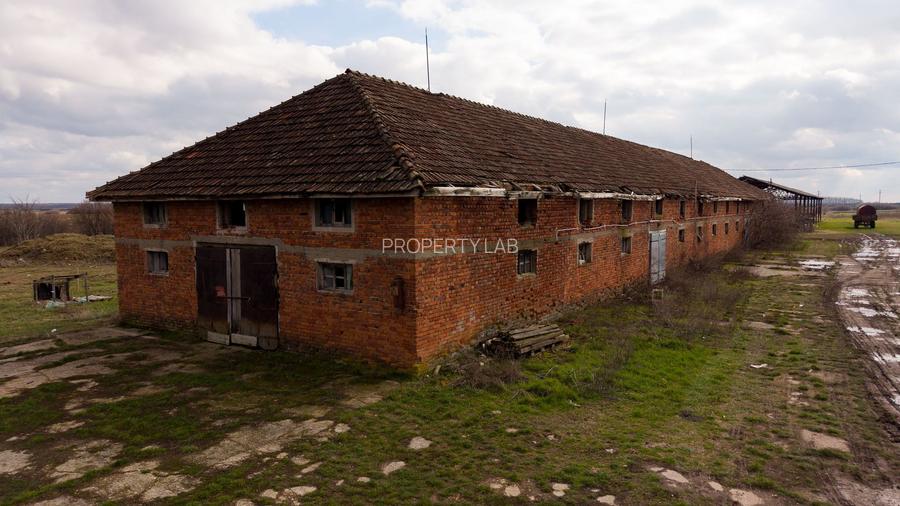 Fermă cu teren intravilan de 35000 mp în Mișca - 19