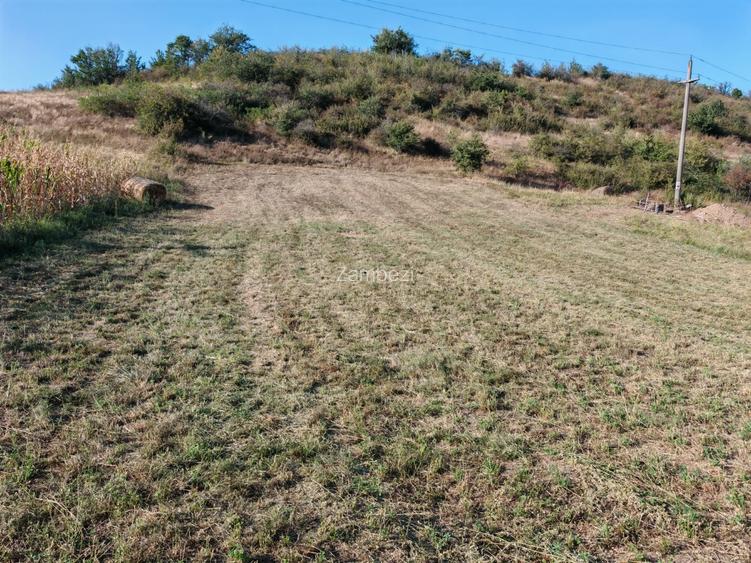 Teren intravilan la Berzasca, pe malul Dunarii, langa complex Egreta - 3