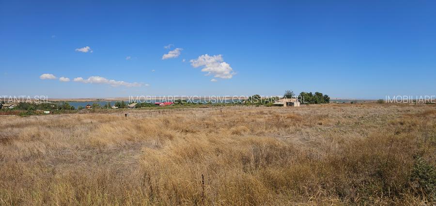 Teren Extravilan 10000 Mp Sibioara Constanta - 13