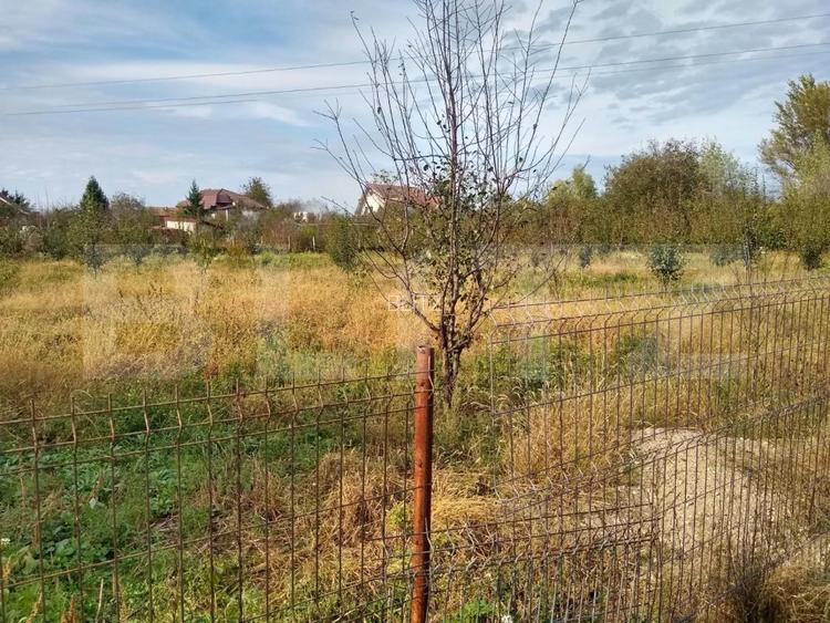Teren intravilan de vanzare, 1400 mp, zona Bercu Rosu - 7