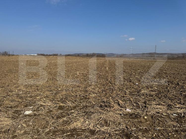 Teren intravilan de vanzare,2900mp - Soseaua de centura
