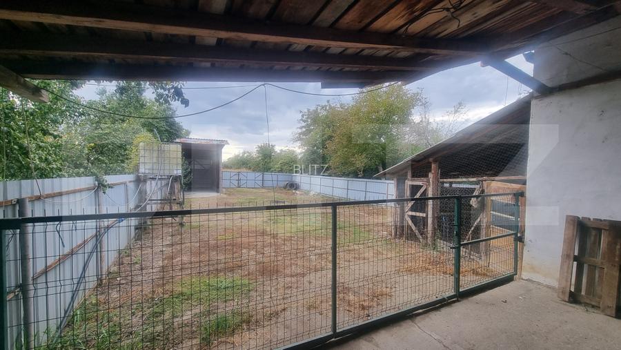 CASĂ P+M + TEREN 3.000 MP | BELCIUG, DRĂGĂNEȘTI | 3 KM DE A3 - 14