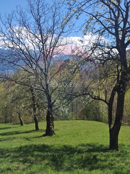 Ocazie! Teren 2885 mp Bran- Predelut / Strada Pe Tarina nr. 70A - 10
