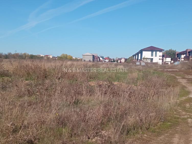 Teren Intravilan 450mp Str Mesteacanuui - 7