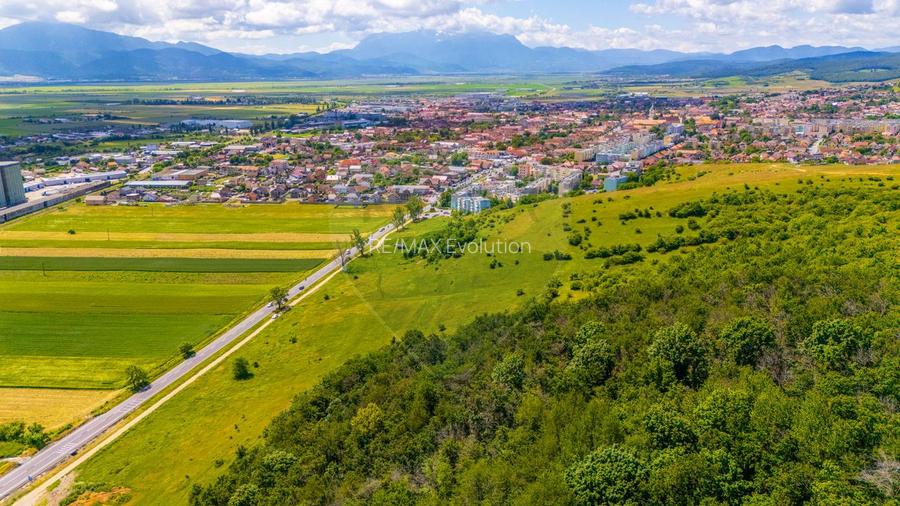 Teren de vanzare Partial Intravilan - 7 loturi - Codlea - 9