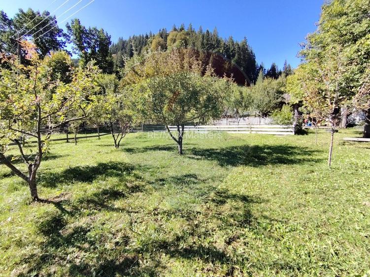 Casă în Vatra Dornei, zona Argestru, cu 11.541m.p. TEREN INTRAVILAN - 10