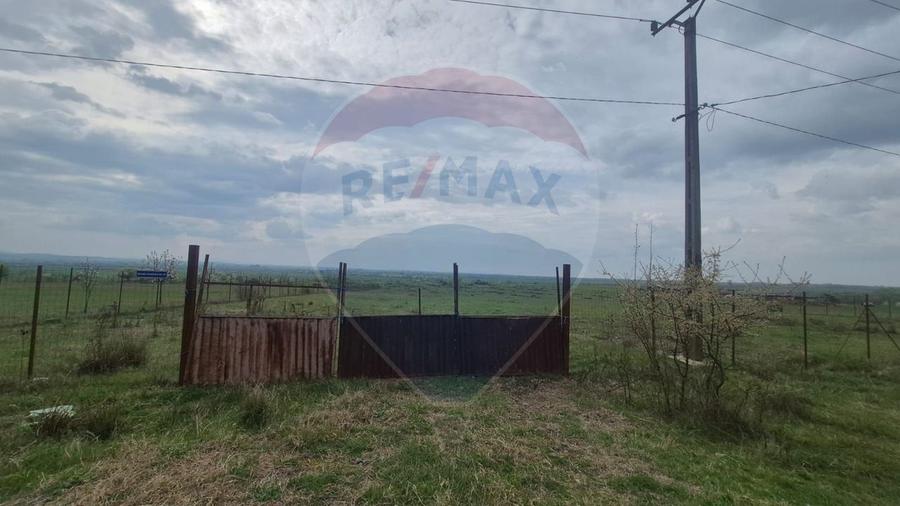 Teren intravilan in  Sebis 5000 mp / Strada Ciutariei