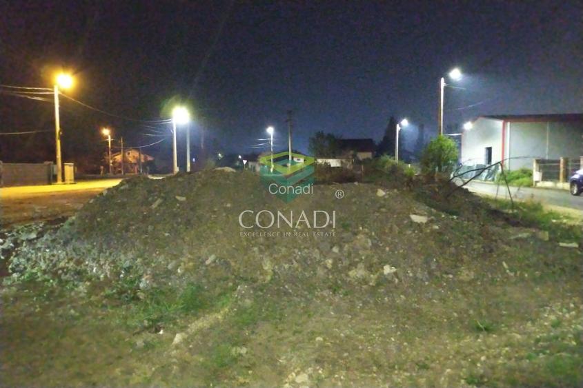 Teren pentru dezvoltare industriala/mixta Otopeni - langa Metrou - 10
