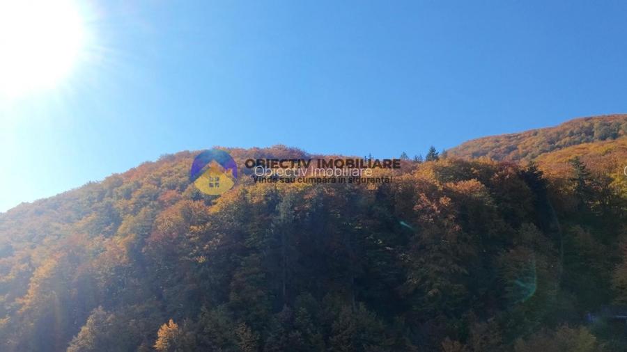 Teren intravilan de vânzare – Piatra Neamț - 12