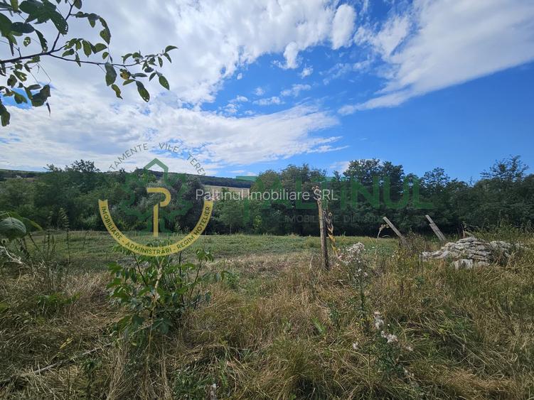 Teren intravilan de vânzare în Alămor, Sibiu, deschidere generoasă, utilitati - 10
