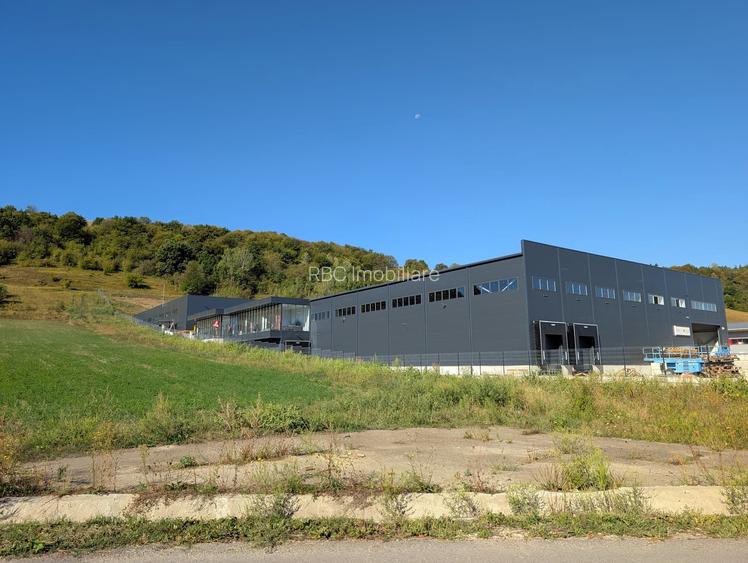 Teren pentru constructie Hale/Depozite cu autorizatie de construire in Baciu - 3