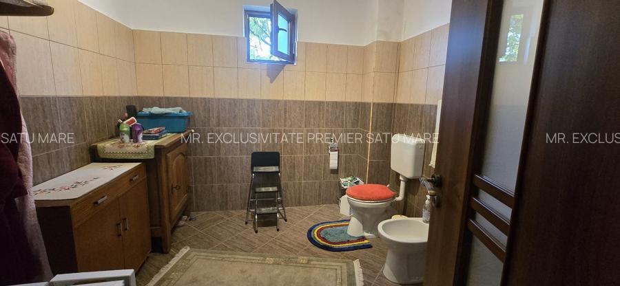 De Vânzare Casă zona Lucian Blaga Satu Mare - 6