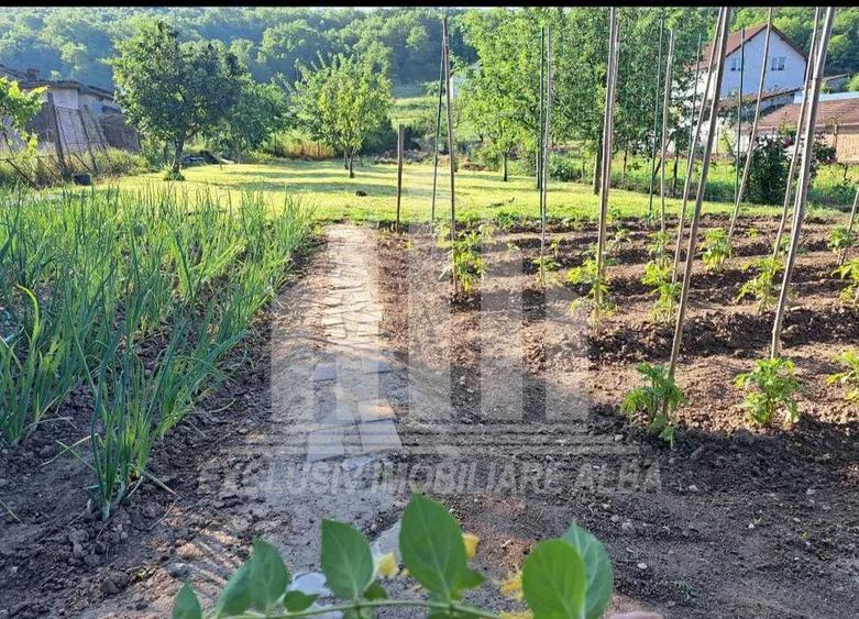 Teren intravilan | De vanzare | 600 mp | 13.6 ml deschidere | Ciugud