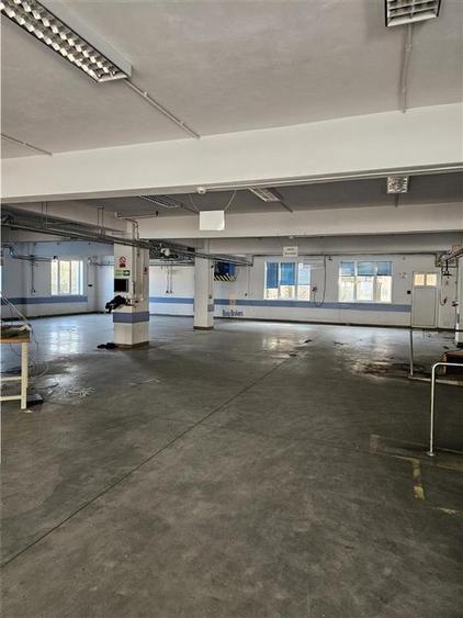 Exclusivitate - Proprietate Industriala De Vanzare - Productie - Depozitare