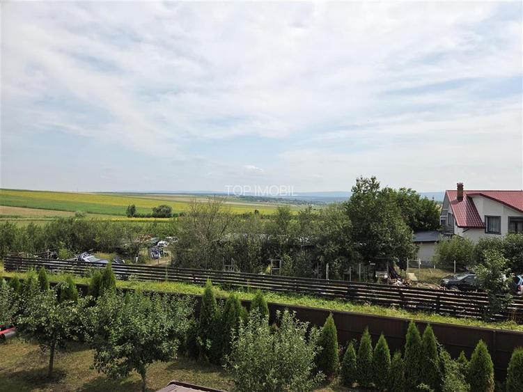 Proprietate Deosebita cu 4600 Mp Teren, 2 Case, Panouri Fotovoltaice si Sera - 23