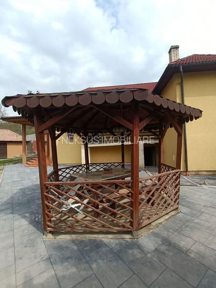 Casa cu 3 camere, 150 mpu, mobilata, utilata, garaj, curte, Ampoita - 21