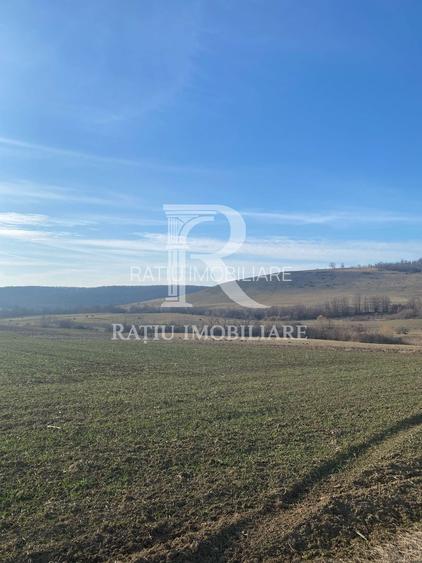 Teren extravilan de vanzare 3.900mp | Mierlau | Bihor - 3