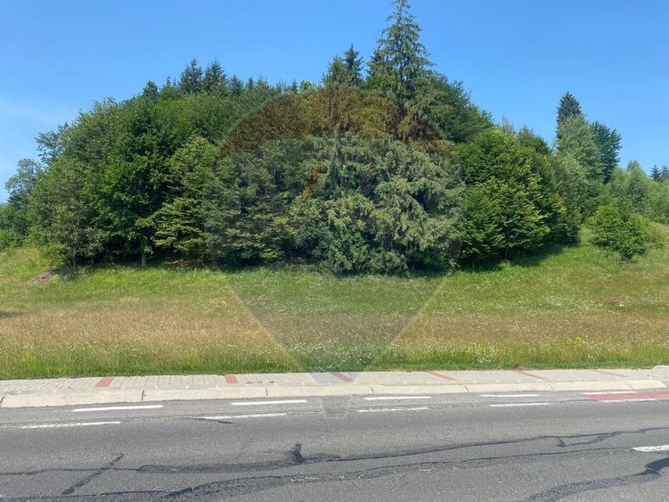 Teren Extravilan 3866 mp in Vama Buzaului la Strada Principala
