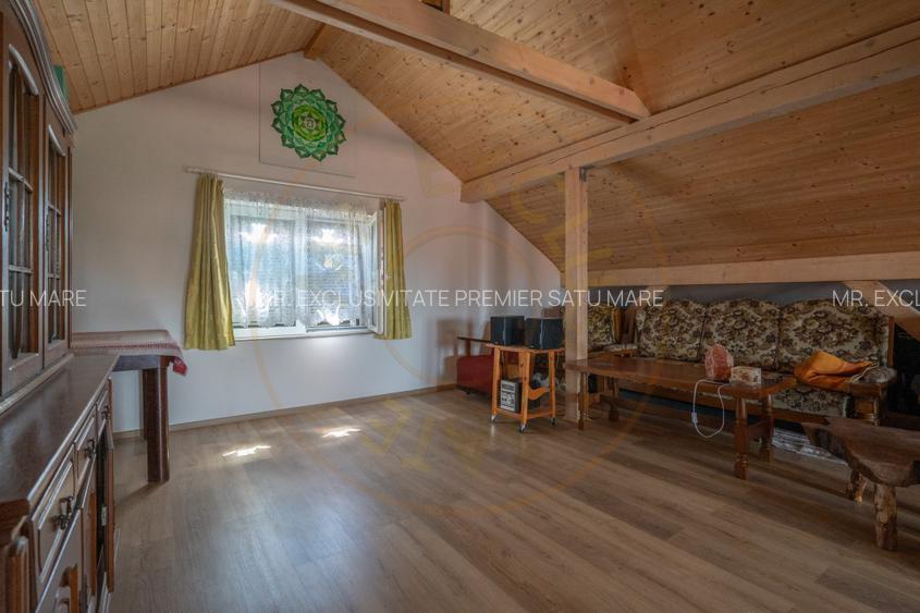 De Vânzare Casă Vânătorilor 9 ari teren - 11