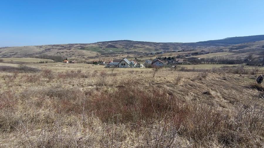 Oferta! Teren intravilan, 1253 mp, frt: 41 m, in Borhanci