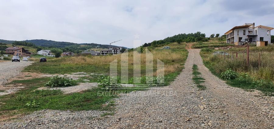 Teren Intravilan | 1347 mp | 35 ml deschidere | Cetate