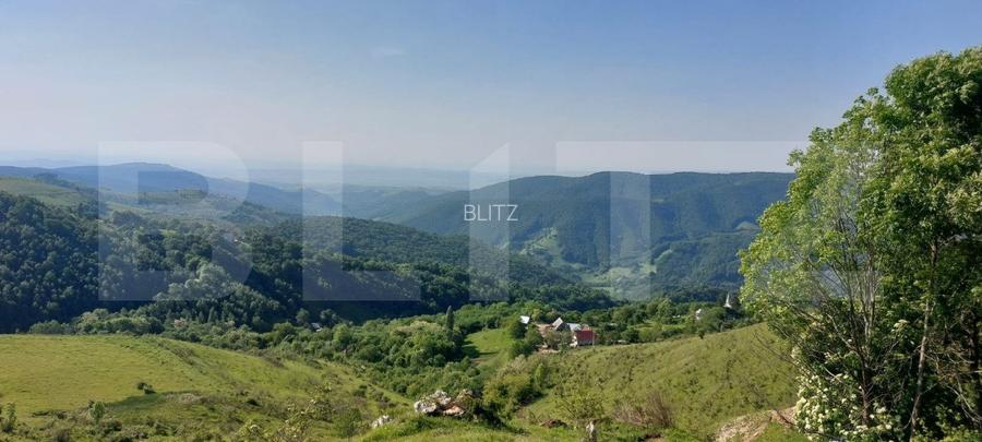 Teren extravilan pentru cabana, 3800 mp, zona-Ramet Transapuseana - 4
