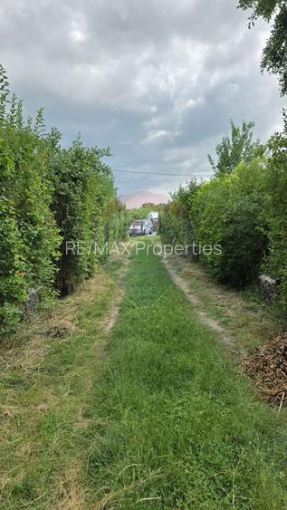 Domeniu rural, gospodarie/multifunctionala cu casa, livada, vie - 40
