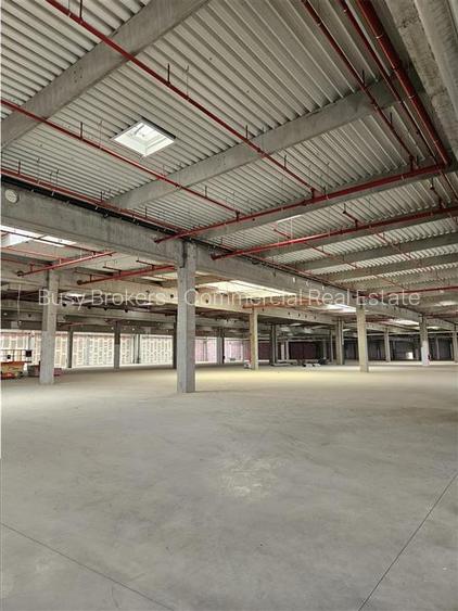 Spatiu Industrial - 9500 mp - Logistica - Productie - Depozitare - Distributie - 11