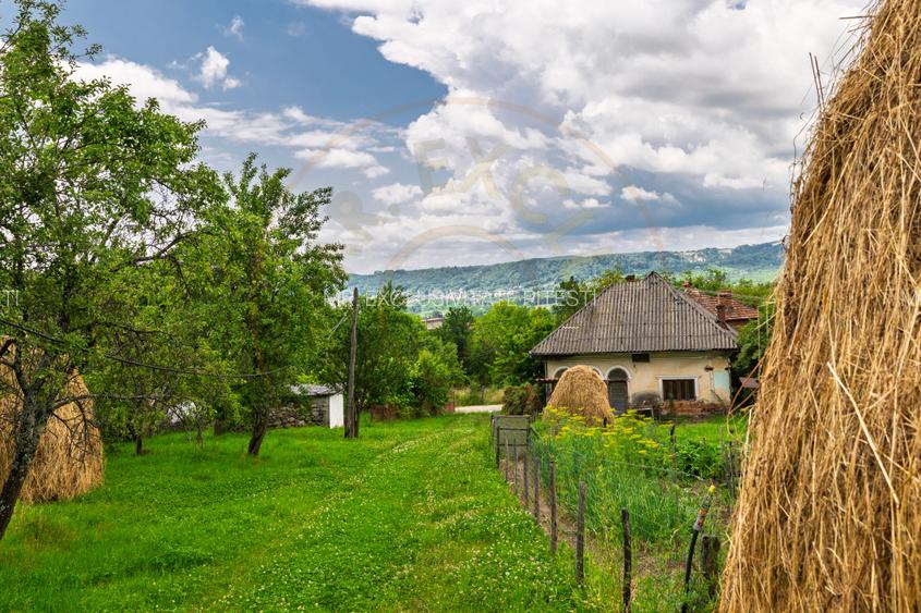 Casa moderna si casa bunicii + 6300 mp teren,Oaza autentica in Corbi Arges- - 4