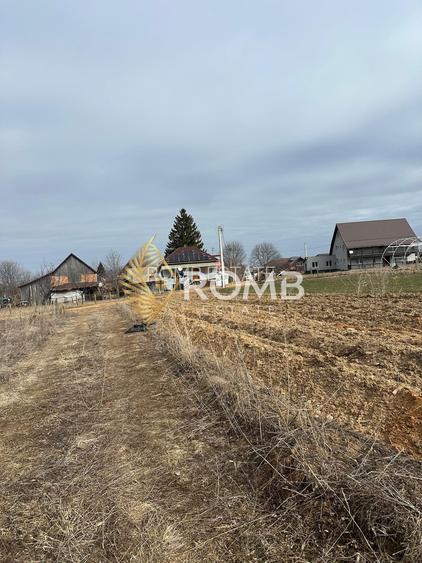 Teren extravilan 3932 MP, Dangaul Mare, zona centrală