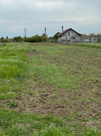 Vanzre Teren construibil 3500mp 1 Decembrie
