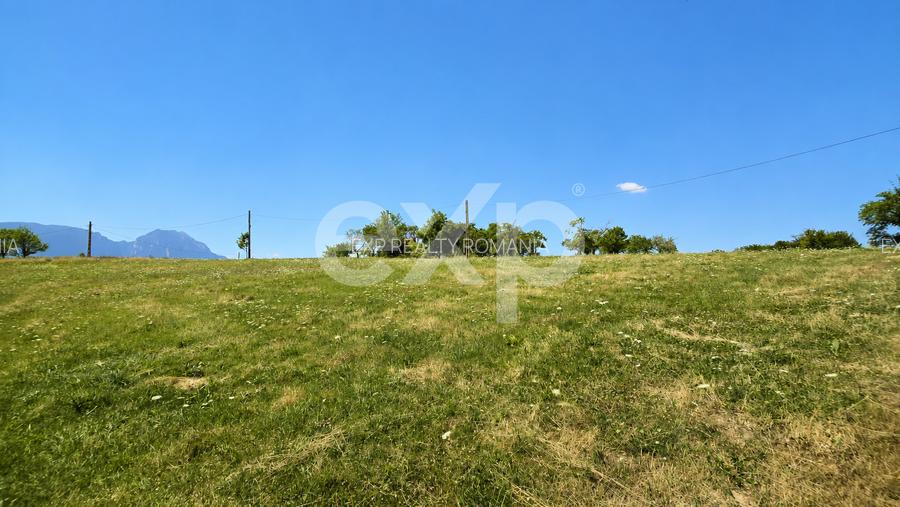 PANORAMA POIANA MĂRULUI | Teren cu potențial de dezvoltare - 6