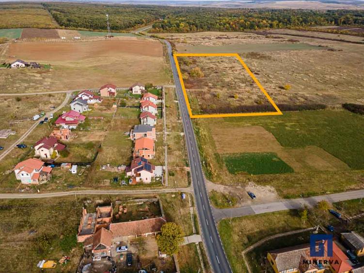 Teren pentru parcelare, 19000 mp, Pișchia, comision 0