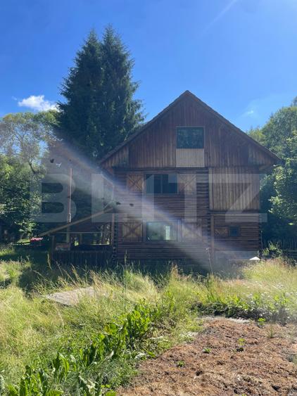 Cabana cu parau si brazi maturi, 1400mp, Valea Fericirii