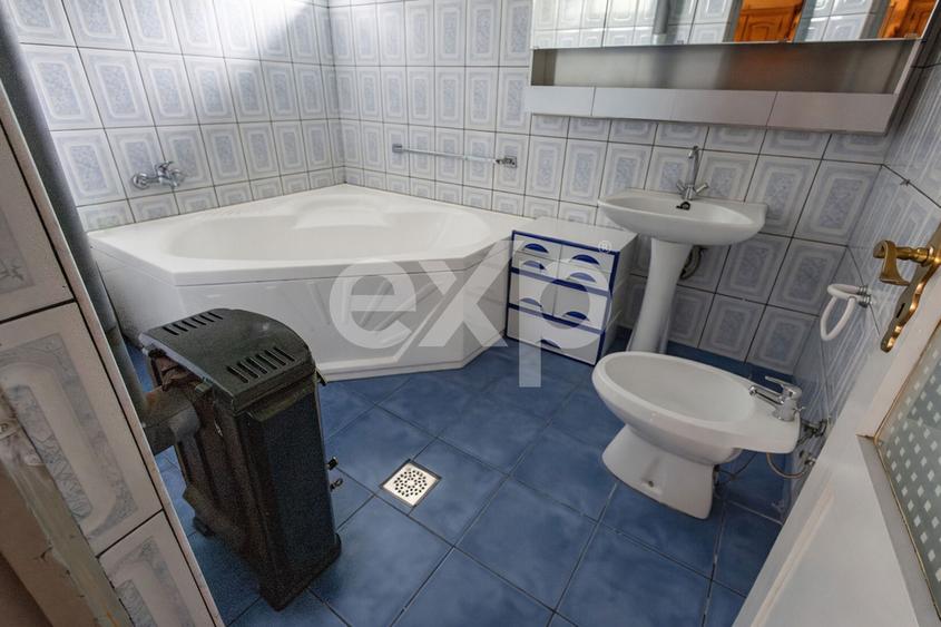 Casă spațioasă cu livadă în Buziaș