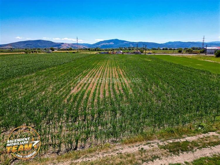 8.400mp, la DN12, cu Certificat Urbanism, teren intravilan, Chichis, Covasna. - 5