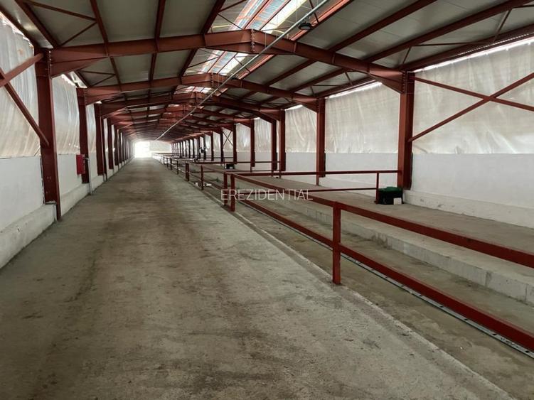 Ferma moderna  de vanzare – judetul Arges  - 10