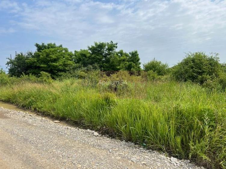 Teren Saftica- strada Albinelor. - 3