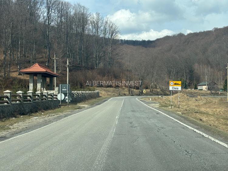 VANZARE PADURE MANECIU -CHEIA,  40HA - 2