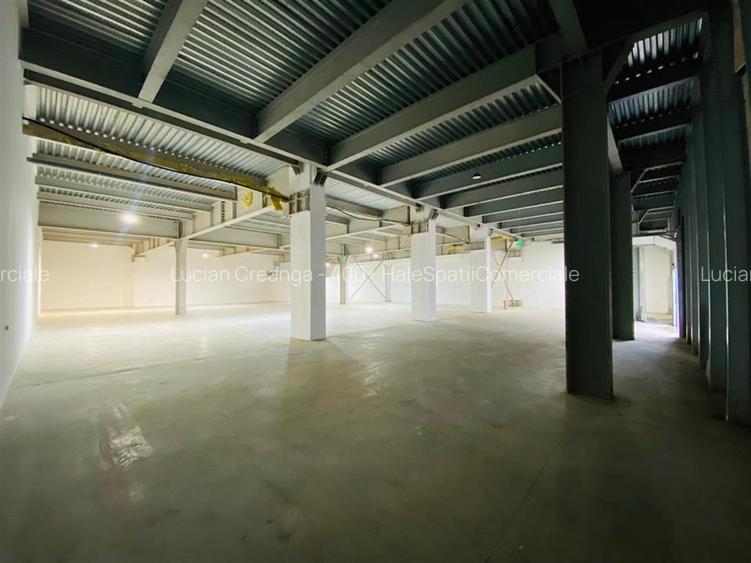 Hale Calea Chisinaului Iasi, aproape de Carrefour de la 65mp la 2000mp - 5