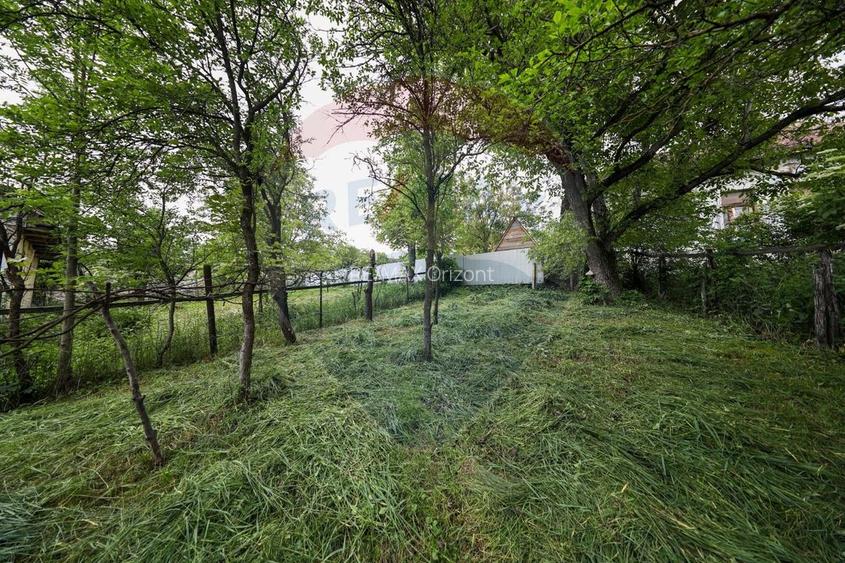 Casă de vacanta, cu annexe si pomi fructiferi, Ungra! - 21