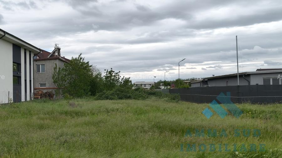Teren Intravilan Jilava - 5.000 mp - Zona de case - Deschidere la doua strazi - 2
