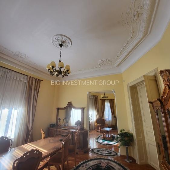 Vila boiereasca, superba, strada, linistita, nelipita de vreun alt imobil - 15