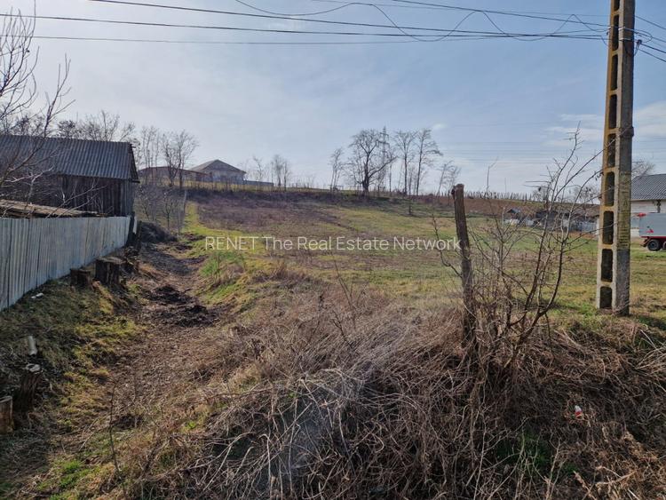 Teren - Roman  -Trifesti  - 3