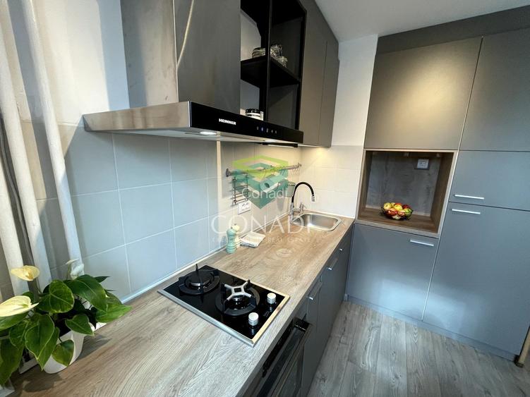 Garsoniera renovata modern str Nada Florilor - Teiul Domnei - 38