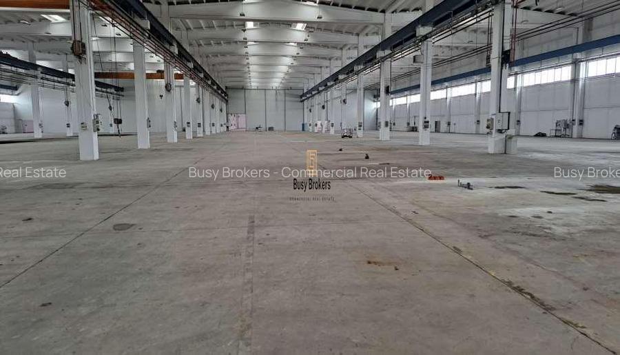 Spatiu Industrial - 5000 mp - Productie - Depozitare - Distributie - 2